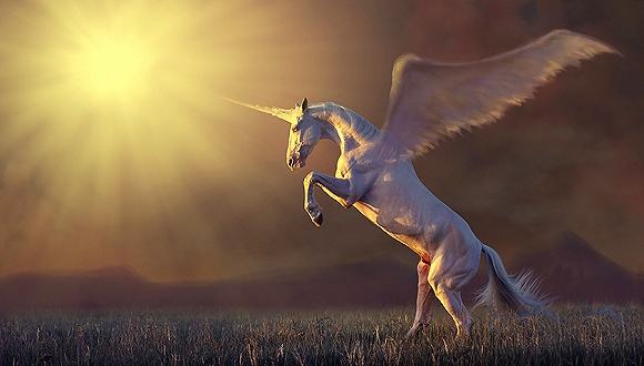 1536118864136053.jpg timg (1).jpg