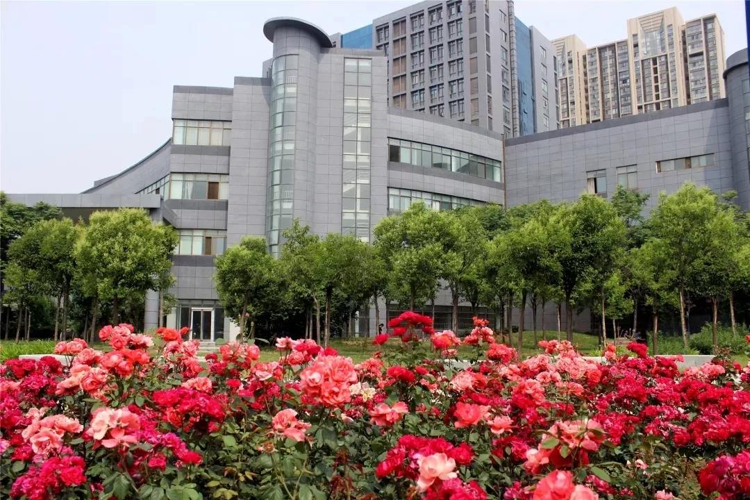 一位普通云和毕业学员的自白:大学毕业蹉跎2年终转行 我是如何获得8500元月薪的 配图04 一位普通云和毕业学员的自白:大学毕业蹉跎2年终转行 我是如何获得8500元月薪的 配图04